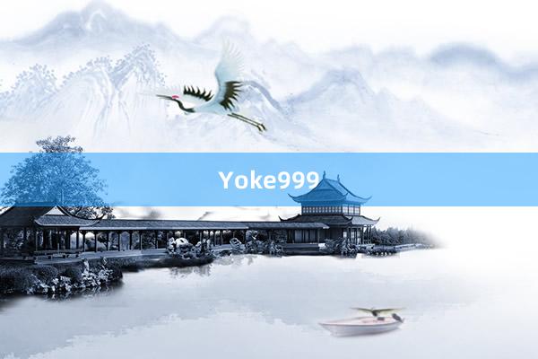 Yoke999