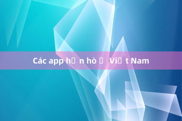 Các app hẹn hò ở Việt Nam