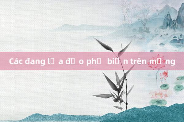 Các đang lừa đảo phổ biến trên mạng