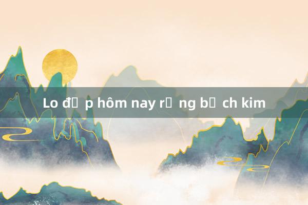 Lo đẹp hôm nay rồng bạch kim