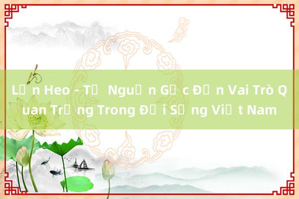 Lợn Heo - Từ Nguồn Gốc Đến Vai Trò Quan Trọng Trong Đời Sống Việt Nam