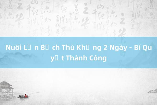 Nuôi Lợn Bạch Thù Khủng 2 Ngày - Bí Quyết Thành Công