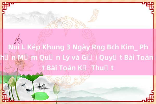 Nui L Kép Khung 3 Ngày Rng Bch Kim_ Phát Triển Phần Mềm Quản Lý và Giải Quyết Bài Toán Kỹ Thuật