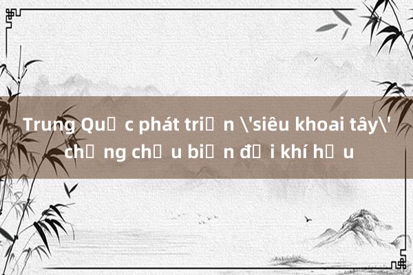 Trung Quốc phát triển 'siêu khoai tây' chống chịu biến đổi khí hậu