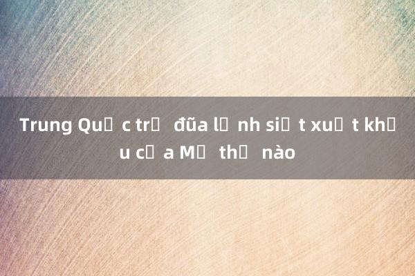 Trung Quốc trả đũa lệnh siết xuất khẩu của Mỹ thế nào