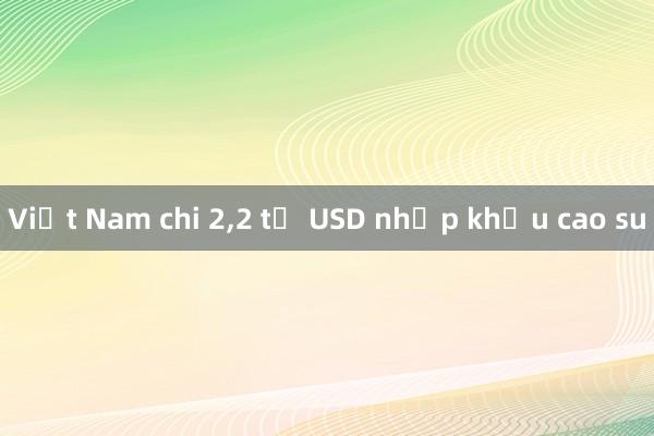 Việt Nam chi 2，2 tỷ USD nhập khẩu cao su