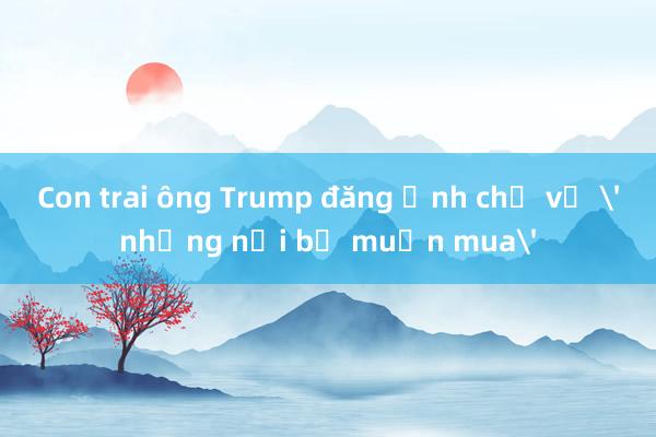 Con trai ông Trump đăng ảnh chế về 'những nơi bố muốn mua'