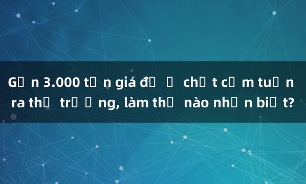 Gần 3.000 tấn giá đỗ ủ chất cấm tuồn ra thị trường， làm thế nào nhận biết?